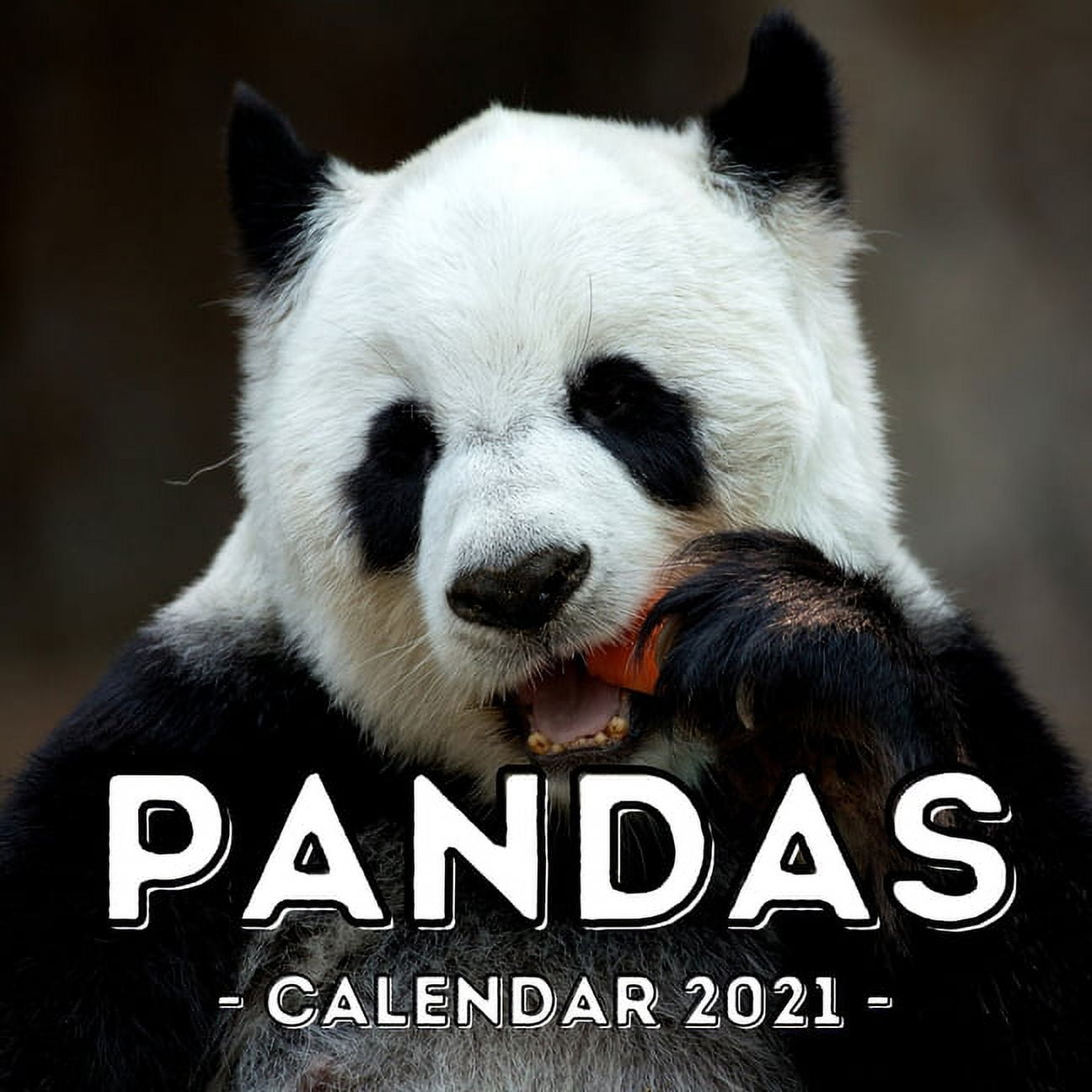 Pandas 2021 Calendar Cute Gift Idea For Panda Lovers Men And Women