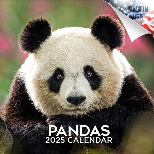 2024 2025 Pandas Cute Animal Monthly Wall Calendar 12 x 24 Open