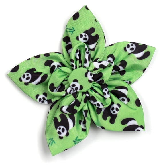 Pandas Flower