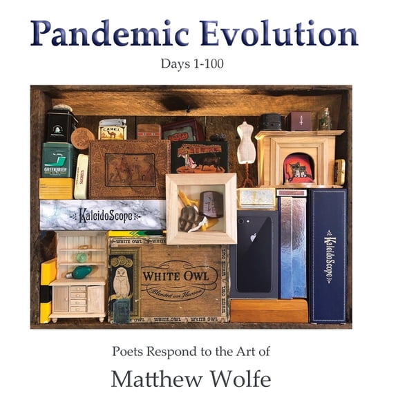 Pandemic Evolution: Poets Respond to the Art of Matthew Wolfe, (Paperback)