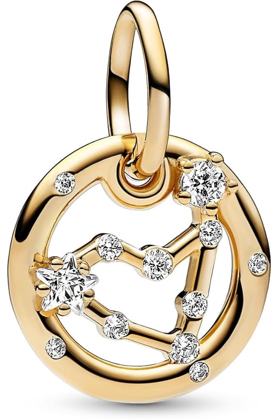 Capricorn Zodiac Dangle Charm