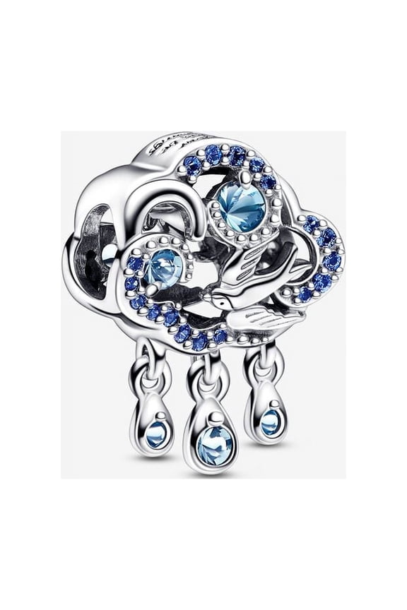 Cloud & Swallow Charm