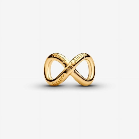 Pandora Moments Forever & Always Infinity Charm