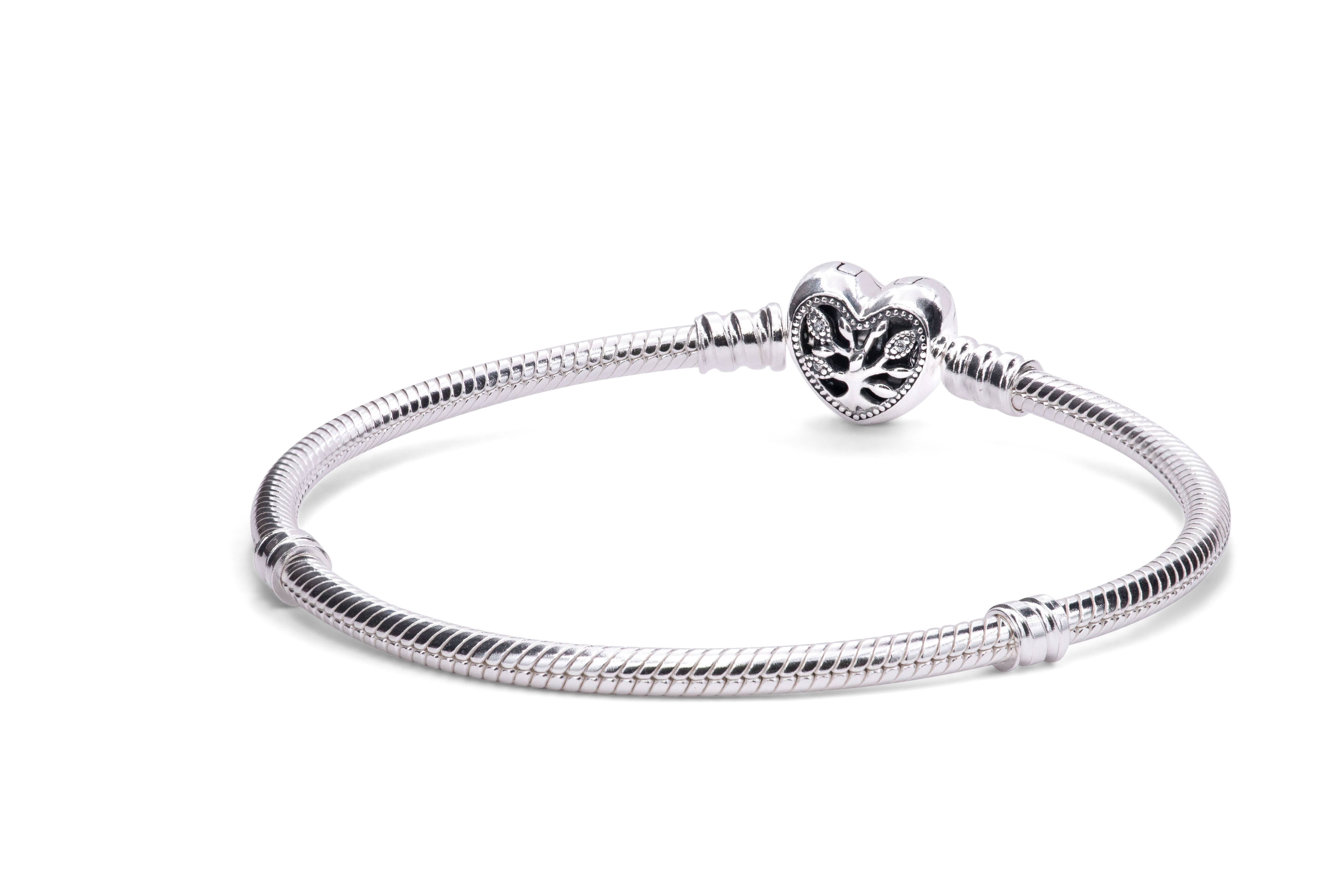 Snake Chain Bracelet