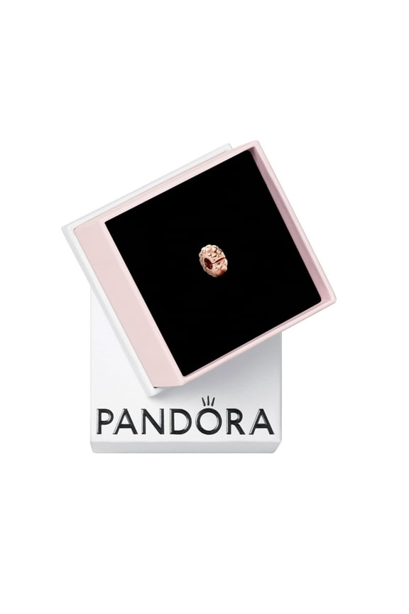 Studded Clip Charm