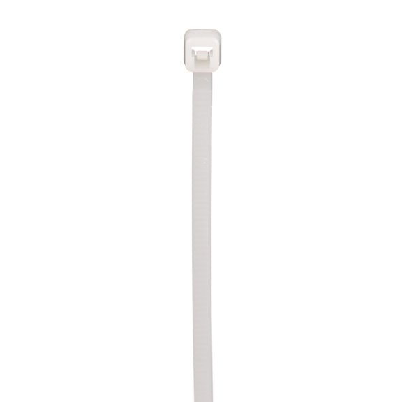 Panduit PLT2M-M Cable Tie, Miniature, Nylon 6.6, 8.0-Inch Length, Natural (1,000-Pack) CA2