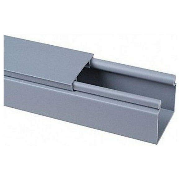 Panduit Wiring Duct for Hinged Cover,Gray,L 6 Ft HS2X2LG6NM