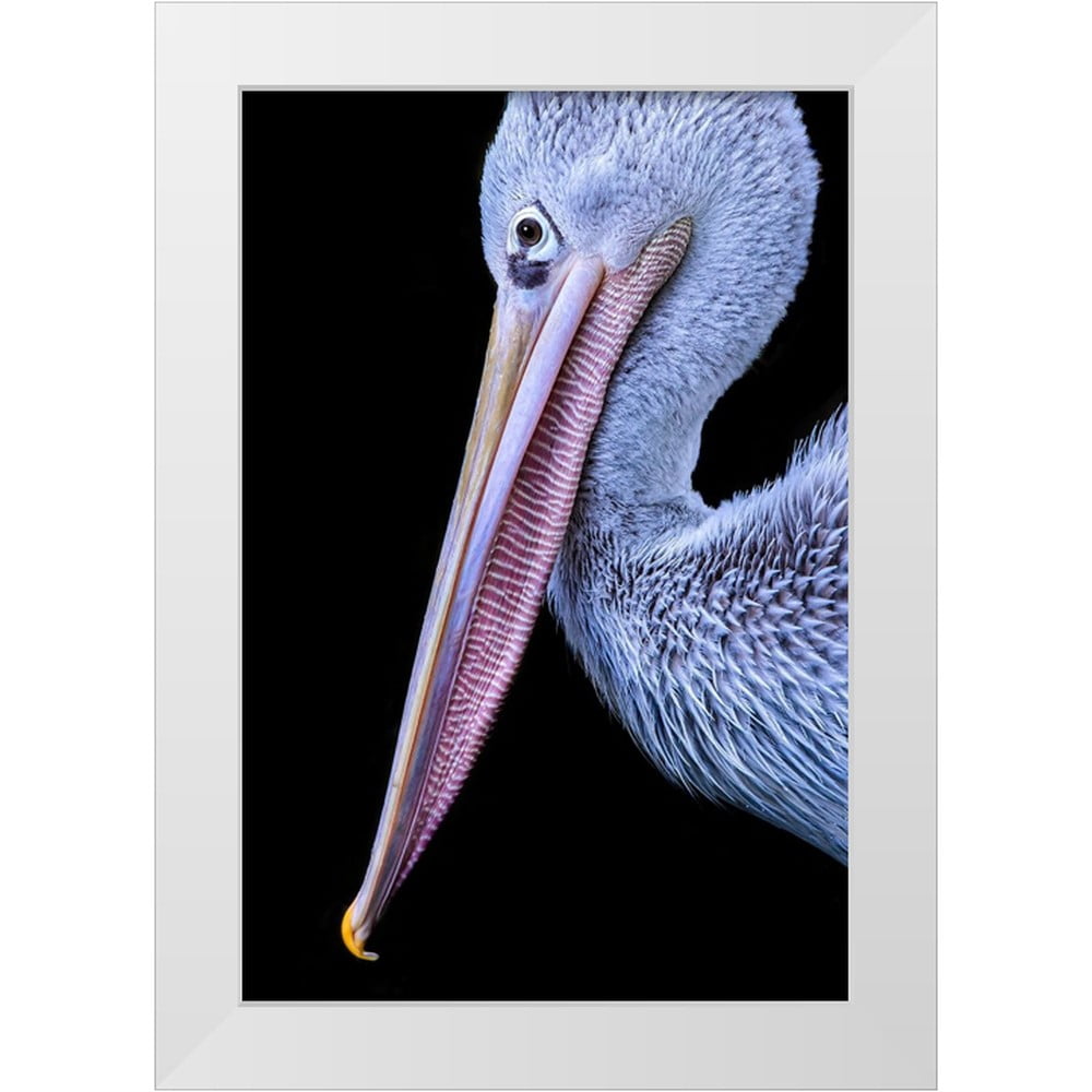 Pandya, Hardik 11x14 White Modern Wood Framed Museum Art Print Titled ...