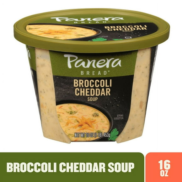 Panera Bread Broccoli Cheddar Soup Cup (Pack of 4)