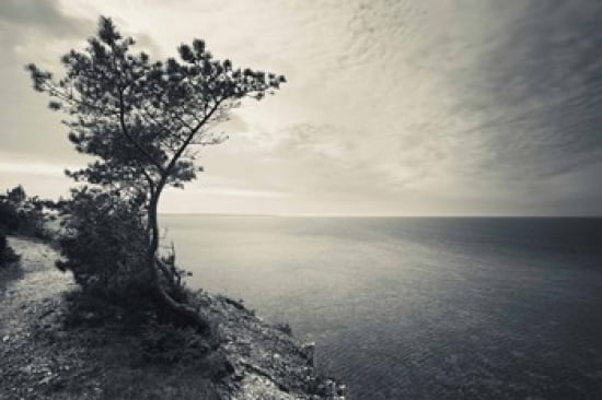 Panga Cliff Kuressaare Saaremaa Island Estonia Canvas Art - Panoramic Images (36 x 24)