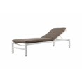 thumbnail image 1 of Pangea Home Olly Modern Aluminum Lounger in Gray/White Finish (Set of 2), 1 of 4