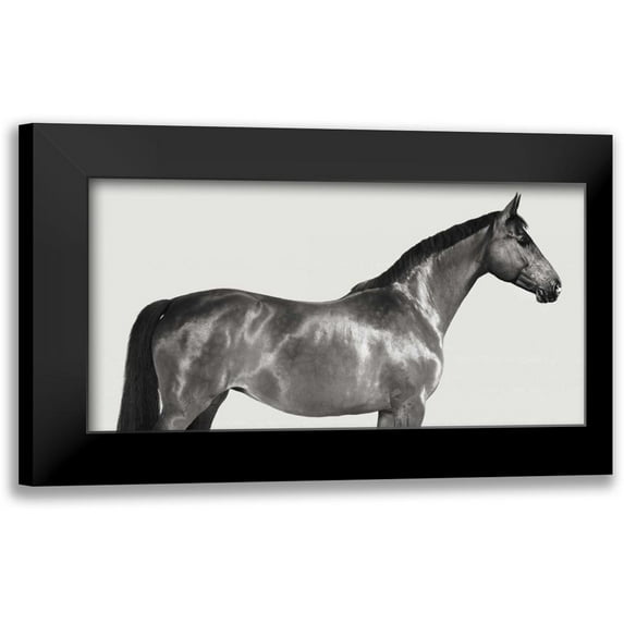 Pangea Images 14x9 Black Modern Framed Museum Art Print Titled - Kingsman Cavalier- English Thoroughbred