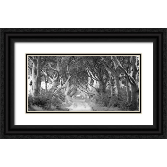 Pangea Images 14x9 Black Ornate Wood Framed with Double Matting Museum Art Print Titled - The Dark Hedges, Ireland (BW)