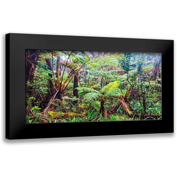 Pangea Images 18x11 Black Modern Framed Museum Art Print Titled - Palm and fern forest, Hawaii (detail)
