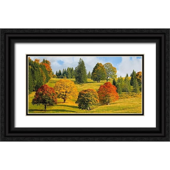 Pangea Images 18x11 Black Ornate Wood Framed with Double Matting Museum Art Print Titled - Autumn in Quebec