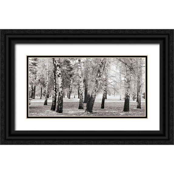 Pangea Images 18x11 Black Ornate Wood Framed with Double Matting Museum Art Print Titled - Birches in a Park