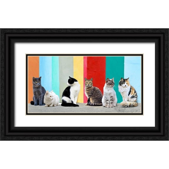 Pangea Images 18x11 Black Ornate Wood Framed with Double Matting Museum Art Print Titled - Cats in the Sun