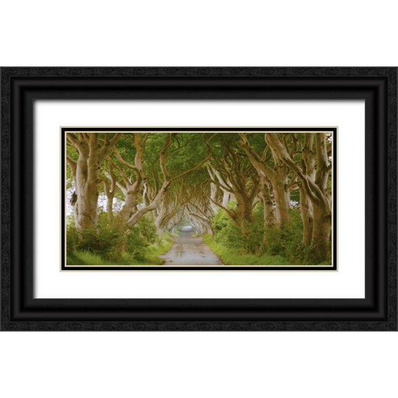 Pangea Images 18x11 Black Ornate Wood Framed with Double Matting Museum Art Print Titled - The Dark Hedges, Ireland