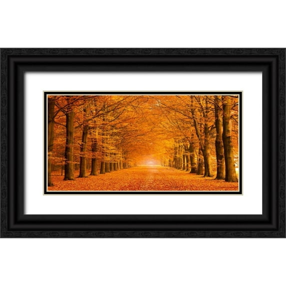 Pangea Images 18x11 Black Ornate Wood Framed with Double Matting Museum Art Print Titled - Woods in autumn