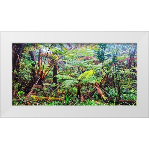 Pangea Images 18x11 White Modern Wood Framed Museum Art Print Titled - Palm and fern forest, Hawaii (detail)