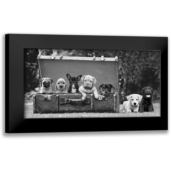 Pangea Images 24x14 Black Modern Framed Museum Art Print Titled - Dog Pups in a Suitcase