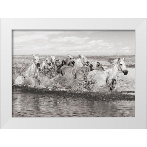 Pangea Images 24x18 White Modern Wood Framed Museum Art Print Titled - Herd of Horses- Camargue