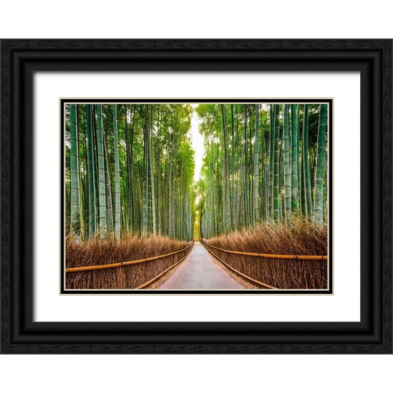 Pangea Images 32x24 Black Ornate Wood Framed with Double Matting