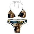 thumbnail image 1 of Pangolin Detachable Sponge Adjustable Strap Bikini Set Two-Pack Swimsuit for Women, 1 of 6