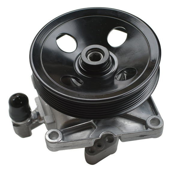 Panlongic Power Steering Pump with Pulley for ML350 GL450 E350 S550 GL550 CLS550 R350 E550