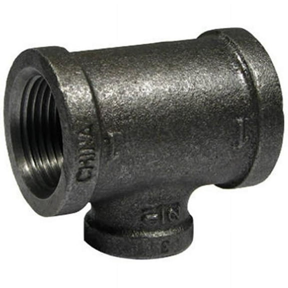 Pannext Fittings B-RT21005 1 x 0.5 in. Black Reducing Tee
