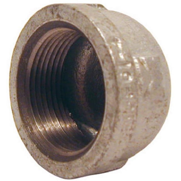Pannext Fittings G-CAP02 0.25 in. Galvanized Cap