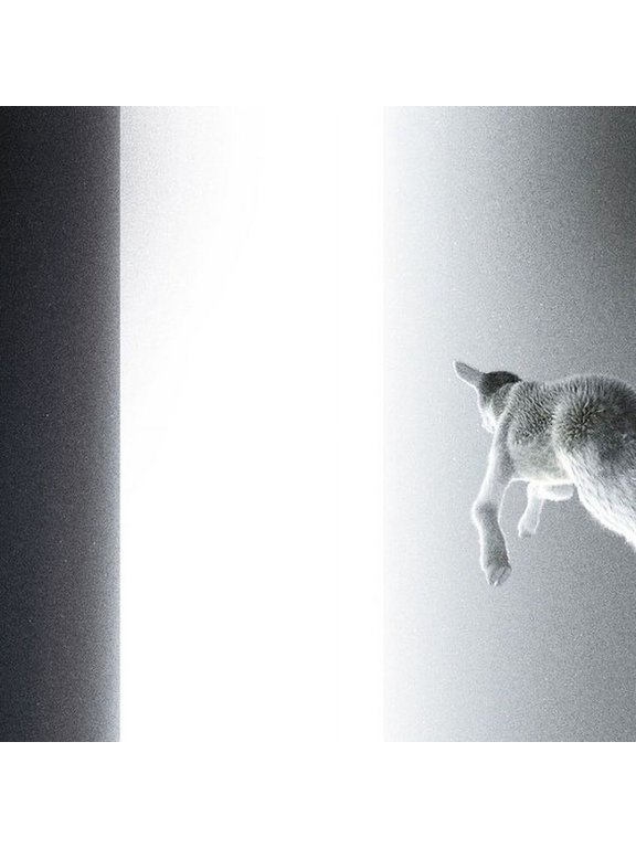 Panoram - Keep Looking Where The Light Comes From - Music & Performance - Vinyl