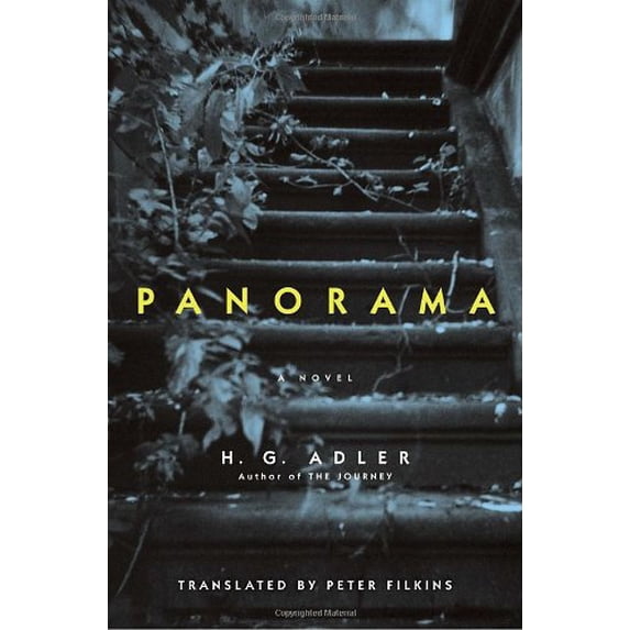 Pre-Owned Panorama: A Novel Hardcover H. G. Adler