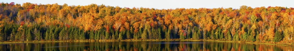 Panorama Of Trees Along The Waters Edge In Autumn Colours South Bolton Quebec Canada Canvas Art - David Chapman Design Pics (51 x 9)