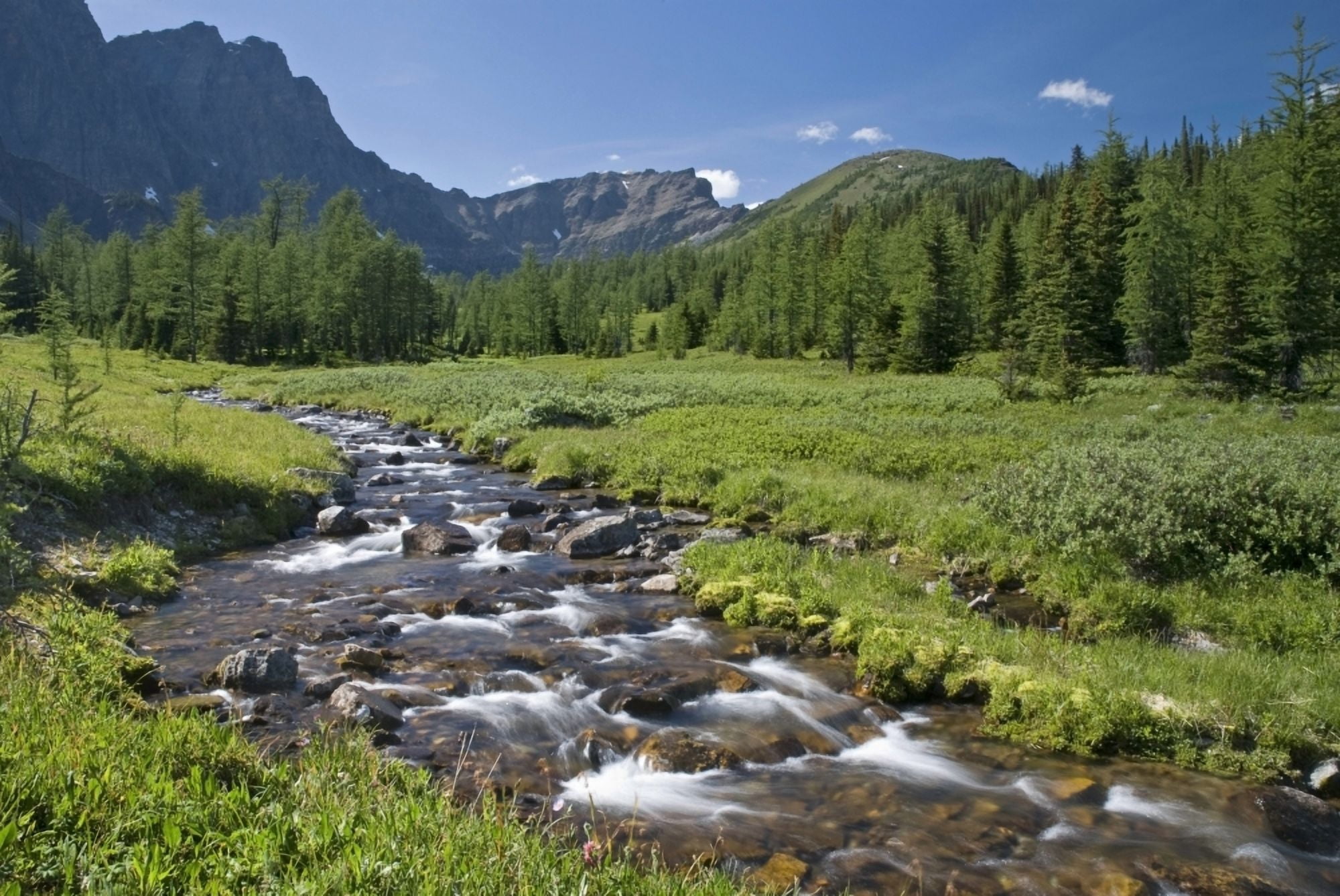 Panorama Ridge Banff National Park Banff Alberta Canvas Art - Philippe Widling Design Pics (17 x 11)