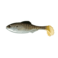 thumbnail image 1 of 6th Sense – Masterclass Panorama Swimbait – Soft Plastic Swimbait with Hook & Weight – Multiple Realistic Swimming Action, 1 of 4