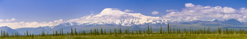 Panorama View Of Mount Sanford And Mount Wrangell As Seen From The Nabesna Road In Wrangell Saint Elias National Park Southcentral Alaska Summer Canvas Art - Michael Jones Design Pics (44 x 7)