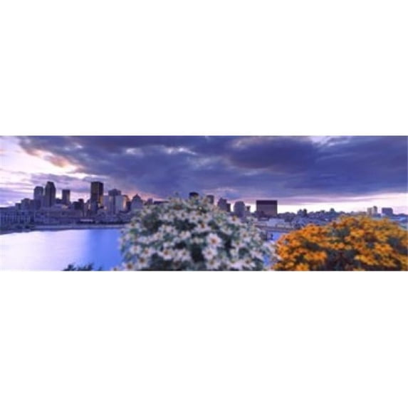 Panoramic Images Blooming flowers with city skyline in the background Montreal Quebec Canada 2010 Poster Print by Panoramic Images