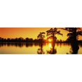 thumbnail image 1 of Panoramic Images  Cypress trees at sunset Horseshoe Lake Conservation Area Alexander County Illinois USA Poster Print by Panoramic Images - 36 x 12, 1 of 1