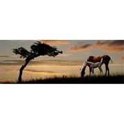 Panoramic Images  Horse mare and a foal grazing by tree at sunset Poster Print by Panoramic Images - 36 x 12