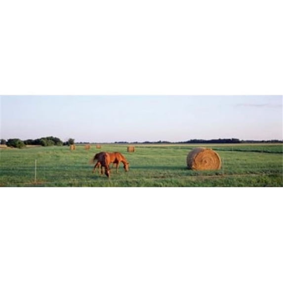 Panoramic Images Horses And Hay Marion County Illinois USA Poster Print by Panoramic Images - 36 x 12