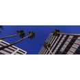 thumbnail image 1 of Panoramic Images PPI106368L Low angle view of palm trees  Downtown San Jose  San Jose  Silicon Valley  Santa Clara County  California  USA Poster Print by Panoramic Images - 36 x 12, 1 of 1