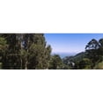 thumbnail image 1 of Panoramic Images PPI106864L Trees on a hill  Sausalito  San Francisco Bay  Marin County  California  USA Poster Print by Panoramic Images - 36 x 12, 1 of 1