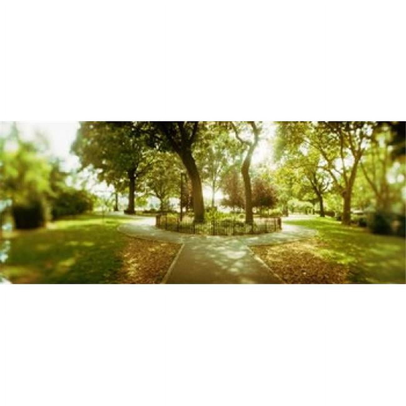 Panoramic Images PPI122980L Trees in a park McCarren Park Greenpoint