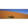 thumbnail image 1 of Panoramic Images PPI125577L Tourists climbing up a sand dune  Dune 45  Sossusvlei  Namib Desert  Namibia Poster Print by Panoramic Images - 36 x 12, 1 of 1
