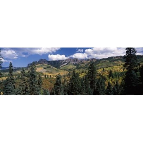 Panoramic Images PPI134325L Trees on mountains Ridgway Colorado USA Poster Print by Panoramic Images - 36 x 12
