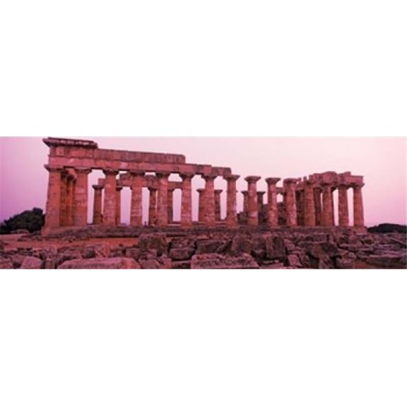 Panoramic Images PPI137078L Ruins of a temple Temple E Selinunte Trapani Province Sicily Italy Poster Print by Panoramic Images - 36 x 12