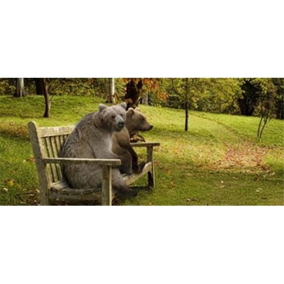 Panoramic Images PPI137699L Bears sitting on a bench Poster Print by Panoramic Images - 36 x 12