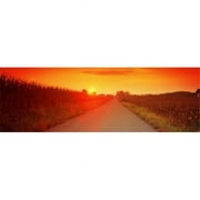 Panoramic Images PPI141834L Country road at sunset  Milton  Northumberland County  Pennsylvania  USA Poster Print by Panoramic Images - 36 x 12