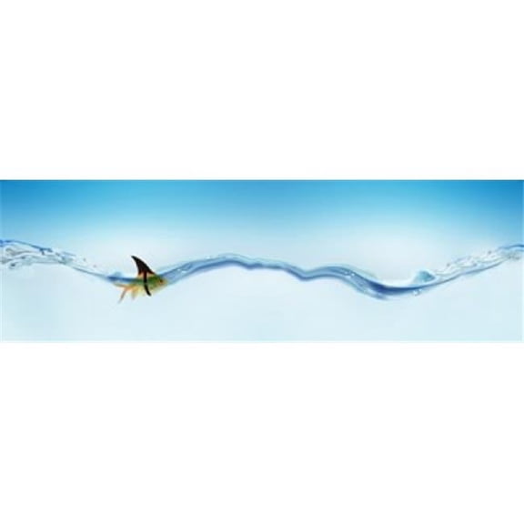Panoramic Images PPI143957S Goldfish Wearing Shark Fin Poster Print, 18 x 6